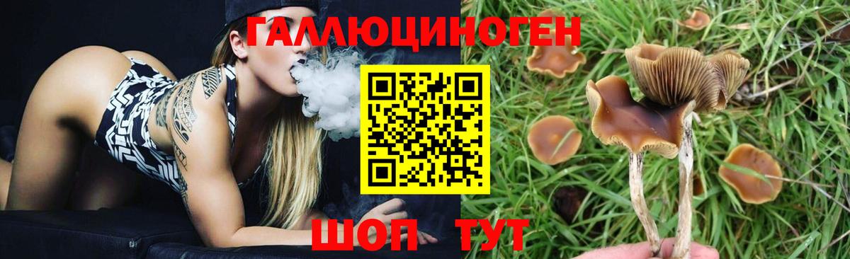 Псилоцибиновые грибы мицелий  Вход с VPN  Удомля  Галлюциногенные грибы Psilocybe 