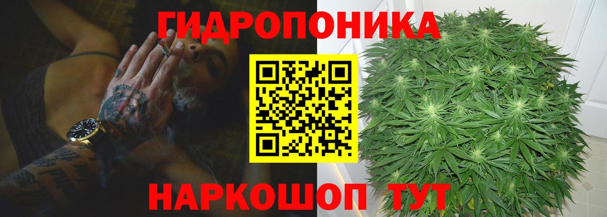 Марихуана OG Kush Удомля